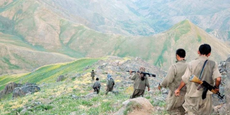 Çelê Eylemi Gerilla Başarısının Bir Kanıtıdır – 1