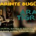 08 Ağustos: Aram Tigran