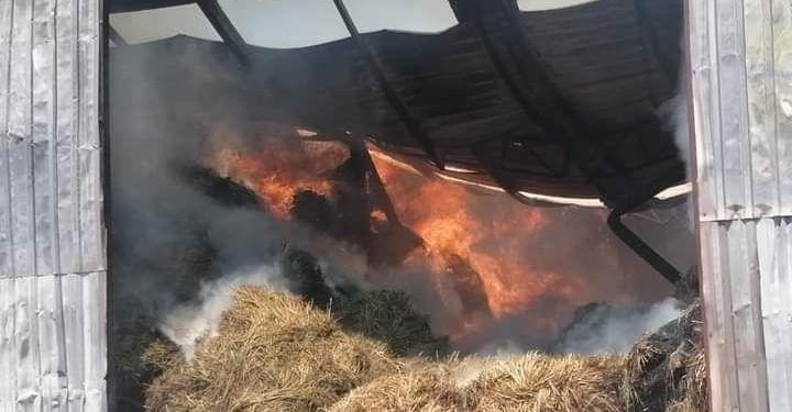 SON DAKİKA – YPS JIN Misilleme Timlerinden 3 şehirde eylem