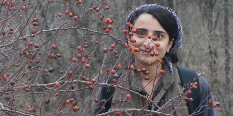 HPG Şeşdara alanında şehit düşen gerillayı andı