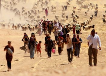 Türk Gladiosunun Kürtler İçindeki Kolu