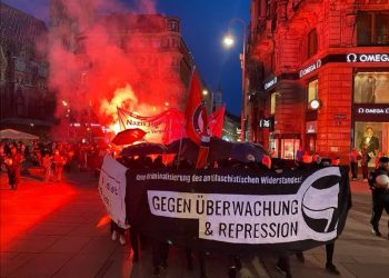 Viyana’da devlet ve polis baskısına karşı alanlara çıkıldı