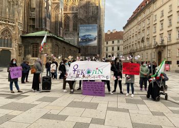 Genç kadınlar Viyana’dan seslendi: Kadın kırımına karşı özsavunmadayız!