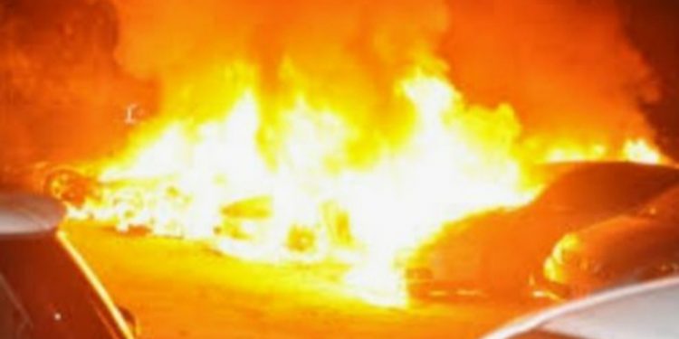 SON DAKİKA – Jinên Tîrêjên Rojê İnsiyatifinden tecrite karşı eylemler