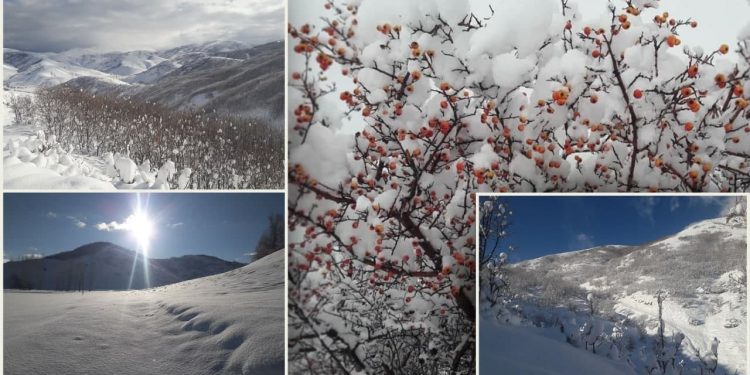 ÖZEL – Tatvan’dan kar manzaraları