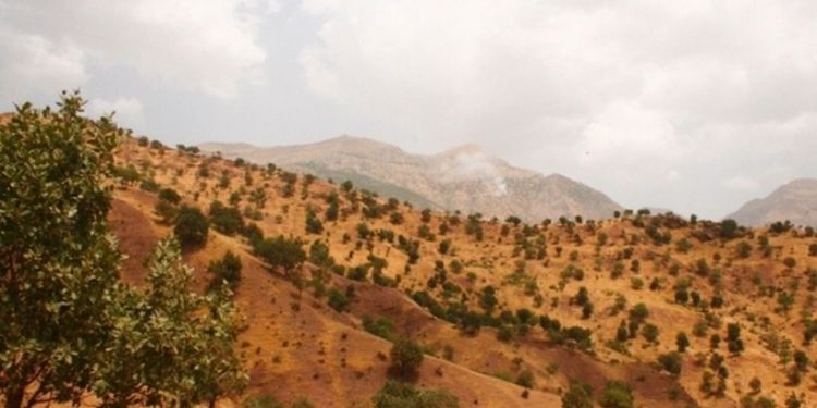 HPG’den bombardımanlarla iligili açıklama: Kaybımız yok