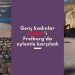 Genç kadınlar 8 Mart’ı Freiburg’da eylemle karşıladı