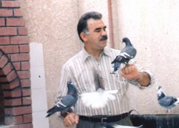 Avukatlardan İmralı başvurusu; İvedi olarak ziyaret talebimiz kabul edilmelidir!