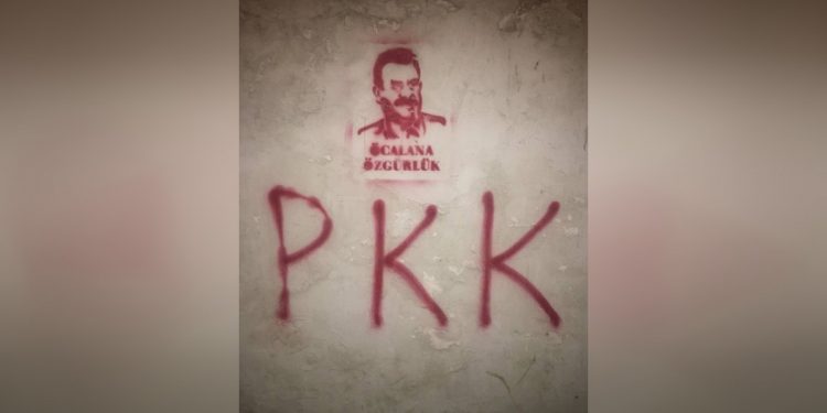 Gençlik İstanbul sokaklarını Halklar Önderi’nin portresi ile donattı