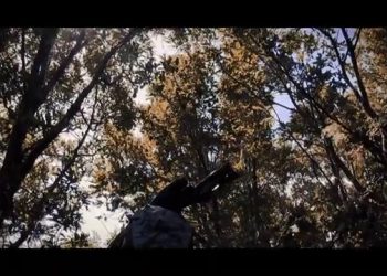 Bazên Zagrosê Hamlesi direnişini anlatan parça; “Lêxin Lêxin”