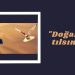 “Doğanın tılsımı”