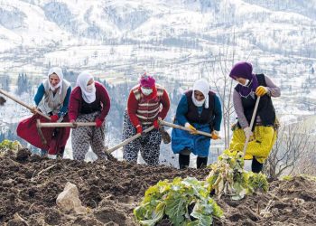 Yoksulluk kadınlaştı