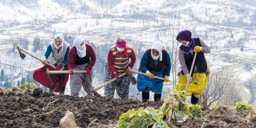 Yoksulluk kadınlaştı