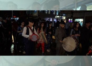 Rojava’lı gençler gerilla direnişe ses olmaya devam ediyor