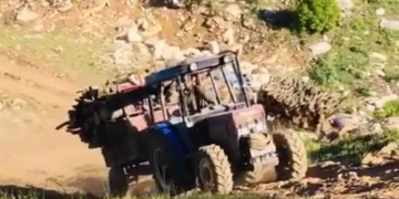 Şirnex’te doğa talan ediliyor