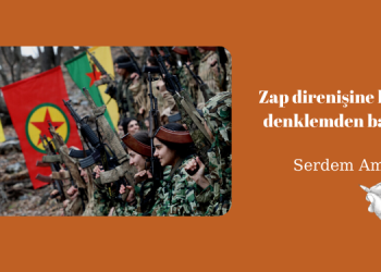 Serdem Amed – Zap direnişine küresel denklemden bakmak