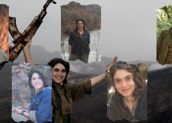 Nisêbîn’in Direniş Ruhunu Yaşatanlardan: Şehit Viyan Sema Aydın