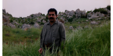 Özgürlük problemi