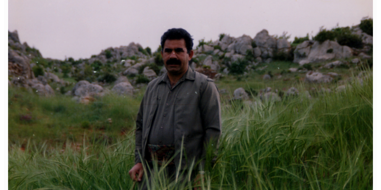 Özgürlük problemi