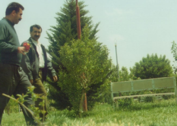 PKK’nin Önderlikselleşmesi Beyin Olabilme Olayıdır