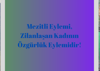 Mezitli Eylemi, Zilanlaşan Kadının Özgürlük Eylemidir!