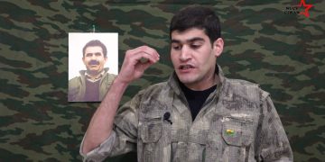 Tolhildan Zilan: “Sokak sokak, şehir şehir dışarı çıkmalı”