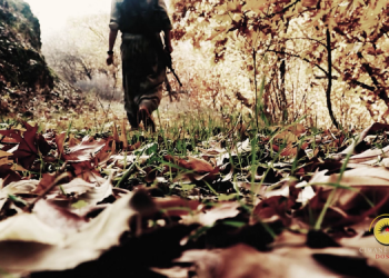 Ciwanên Rojê bu akşam Stêrk TV’de başlıyor