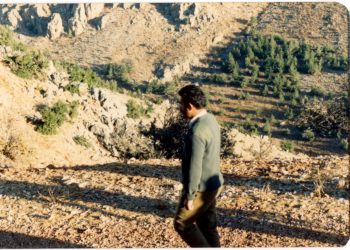 Demokratik Ulus Çözümü – Sosyalizm ve Kapitalizm -II-