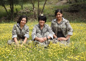 Sevgi- Gerilla kaleminden