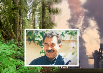 Demokratik Ulus Çözümü- Kavramsal Kuramsal Çerçeve – Ekonomi