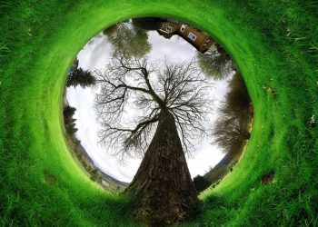 Atina Savunmasından Ekoloji – II-  Önder Apo