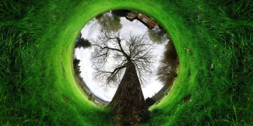 Atina Savunmasından Ekoloji – II-  Önder Apo