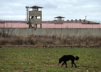 PAJK Zindan Komitesi: ‘Kadınlar Geleceği inşa edecek’