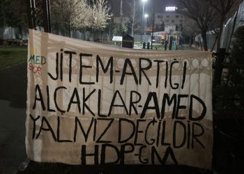 HDP Gençlik: Amed yalnız değildir