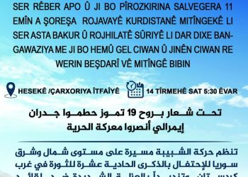 Gençliğin “19 Temmuz ruhuyla imralı duvarlarını yık, özgürlük savaşını kazan” mitingi