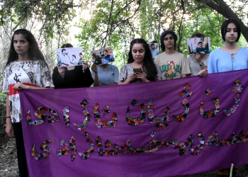 Jinanî Gencî Tekoşer’den  Önder APO için basın açıklaması