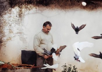 İmralı raporunu açıklamayan CPT: Tecrit hukuka aykırı!