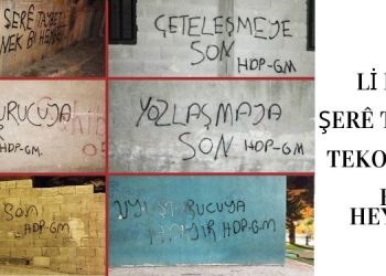 HDP- YSP Gençlik Meclisleri: Urfa Sokaklarından Sesleniyoruz