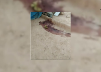 Eyn Îsa’da katliam: Aynı aileden 3 şehit 3 yaralı