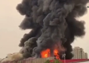 Jinên Tolhildêr İnisiyatifi’nden Önder APO için eylem