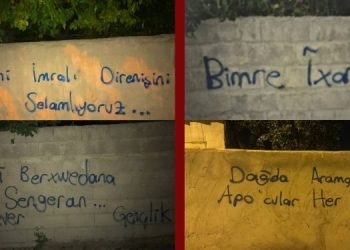 Wan Yurtsever Gençlik’ten, Yazılama Eylemi