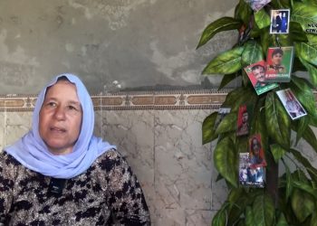 Dayê Neam, Şehit Vejîn Jiyan için konuştu