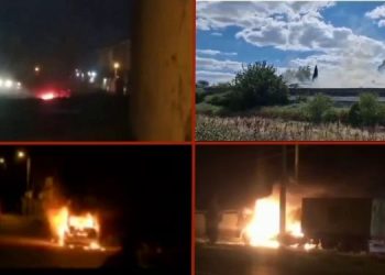 Jinên Tolhildêr İnisiyatifi, 4 kentte eylem gerçekleştirdi