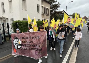 Villiers le Bel TCŞ ve TekoJIN üyeleri Önder APO için alanlardaydı!