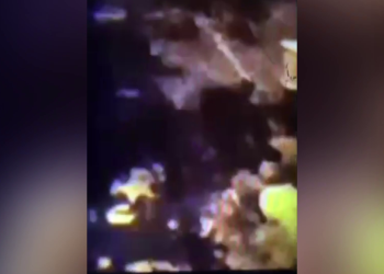 Jinên Tolhilder İnisiyatifi’nden Gever’de eylem