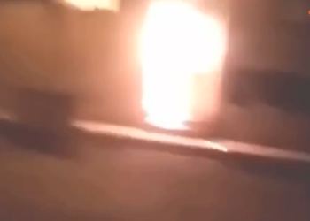 YCWK Adana birimlerinden eylem