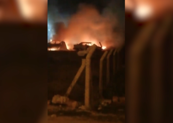 Jinên Tolhildêr İnisiyatifi’nden Aydın’da eylem