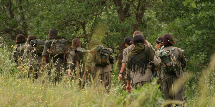 Gerilla Kaleminden: Yol Ve Yolcu