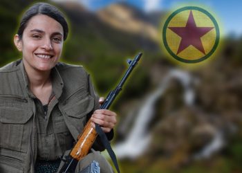 Yoldaşların Yoldaşı Dilan