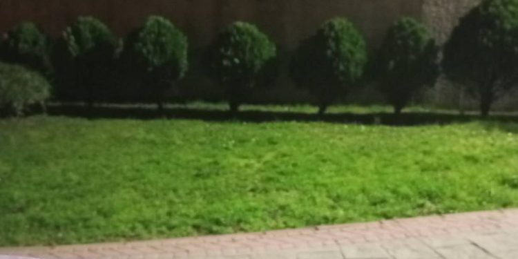 Xeta Jinê üyeleri bir çok noktada gerçekleştirdikleri eylemlerle Gülistan Doku’nun akıbetini sordu